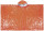 Notfall-Poncho, orange,