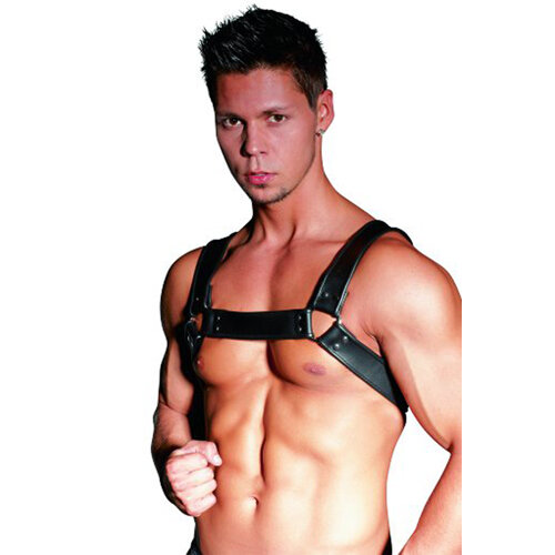 Harness aus schwarzem Leder