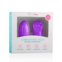 Vibro-Ei mit Fernbedienung in Violett