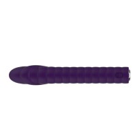 Nalone Dixie Vibrator - lila