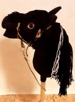 Hobby Horse Steckenpferd Schwarz mit Schwarzer Mähne...