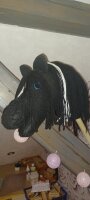 Hobby Horse Steckenpferd Schwarz mit Weißer Blesse...